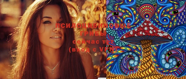 прущие грибы Алексеевка