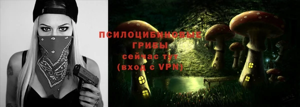 прущие грибы Алексеевка