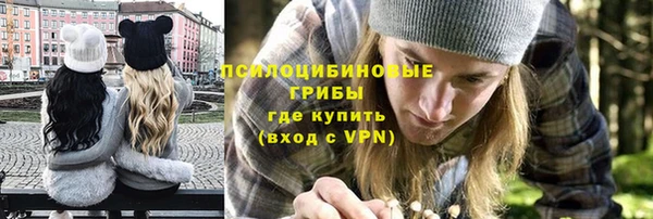 ПСИЛОЦИБИНОВЫЕ ГРИБЫ Алексин