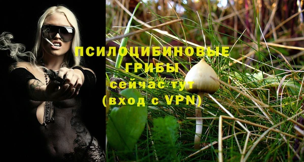 ПСИЛОЦИБИНОВЫЕ ГРИБЫ Алексин