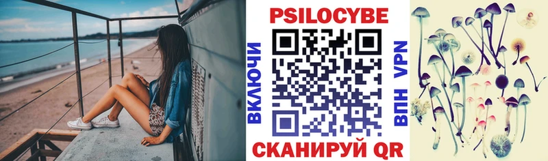 купить наркотик  Томари  MEGA ONION  Псилоцибиновые грибы Psilocybine cubensis 